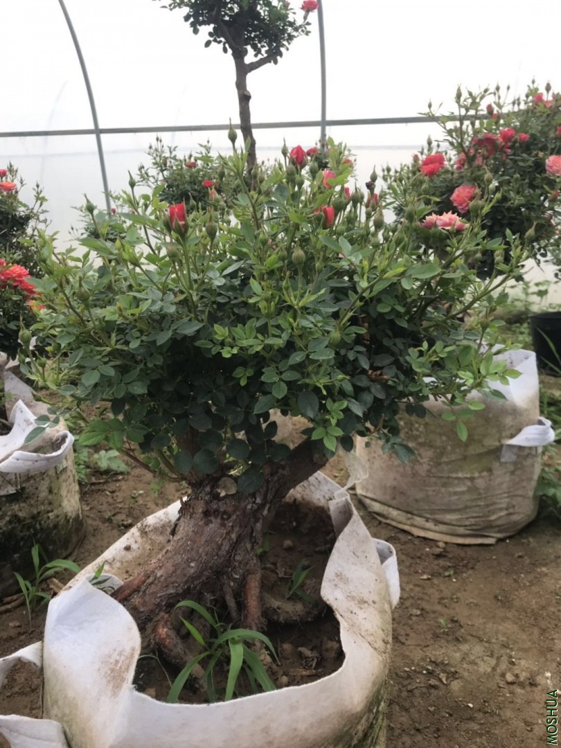 ΢��ͼƬ_20190711094329.jpg