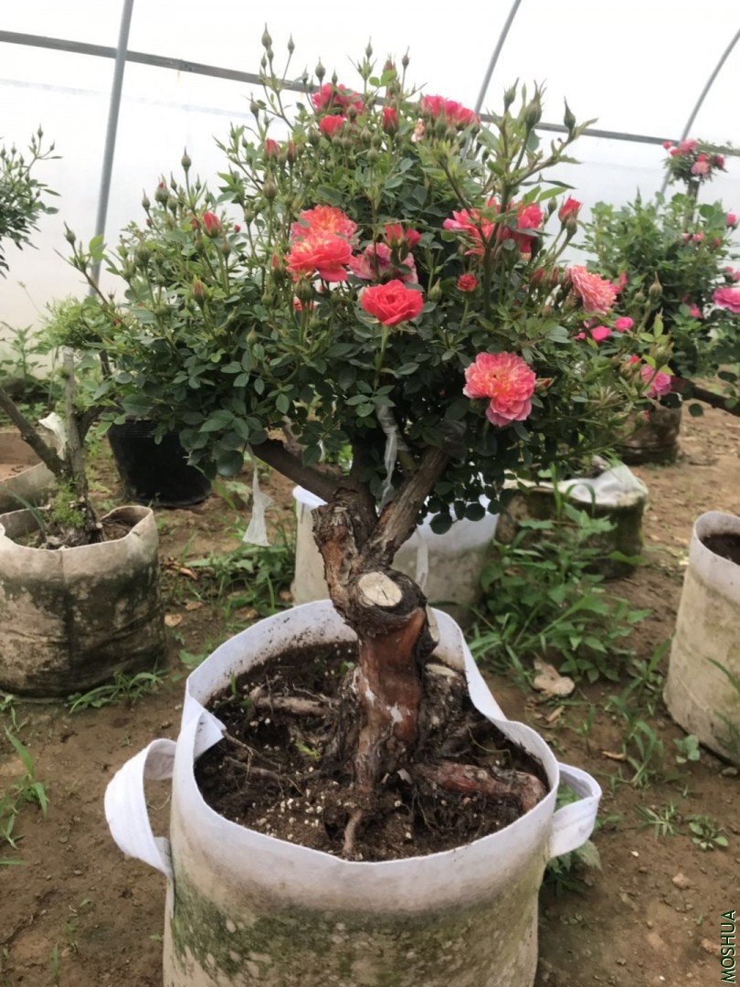 ΢��ͼƬ_20190711094336.jpg