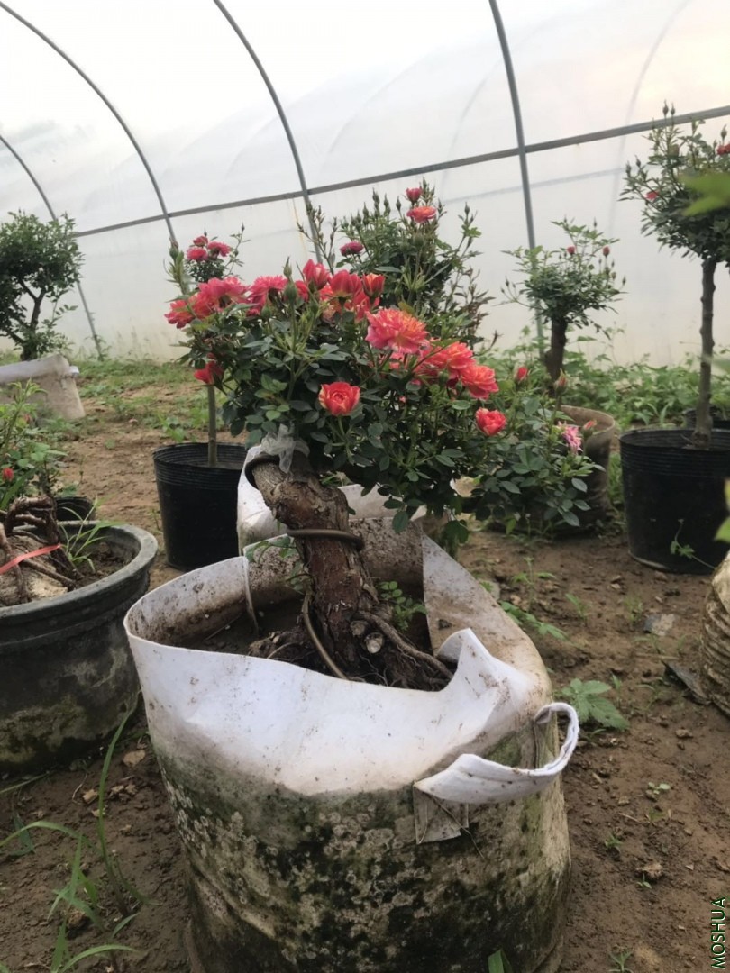 ΢��ͼƬ_20190711094341.jpg