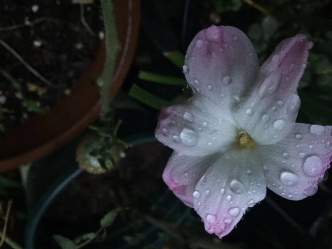 ΢��ͼƬ_20190711152634.jpg