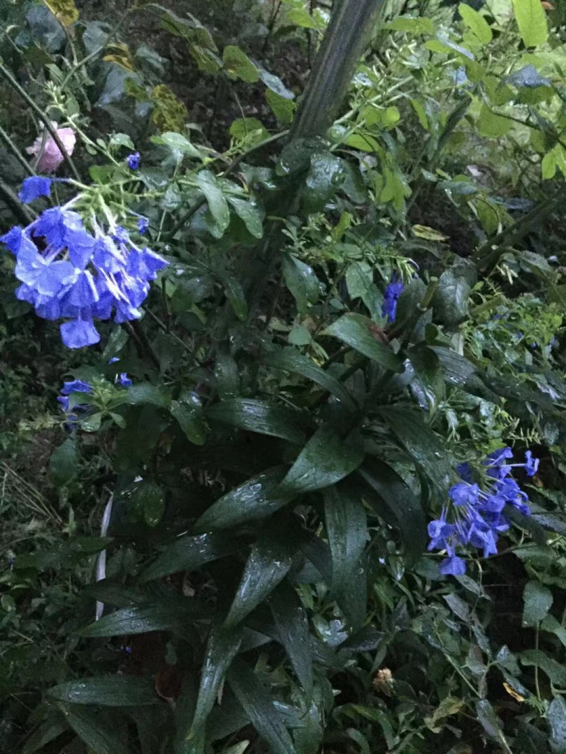 ΢��ͼƬ_20190711152646.jpg