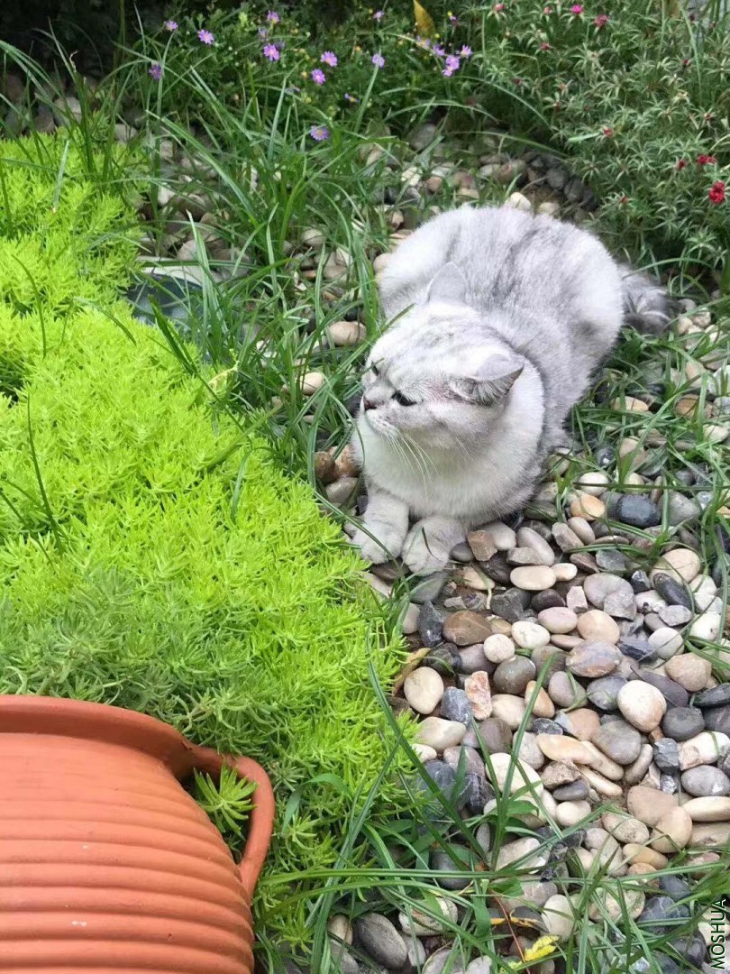 ΢��ͼƬ_20190712102813.jpg