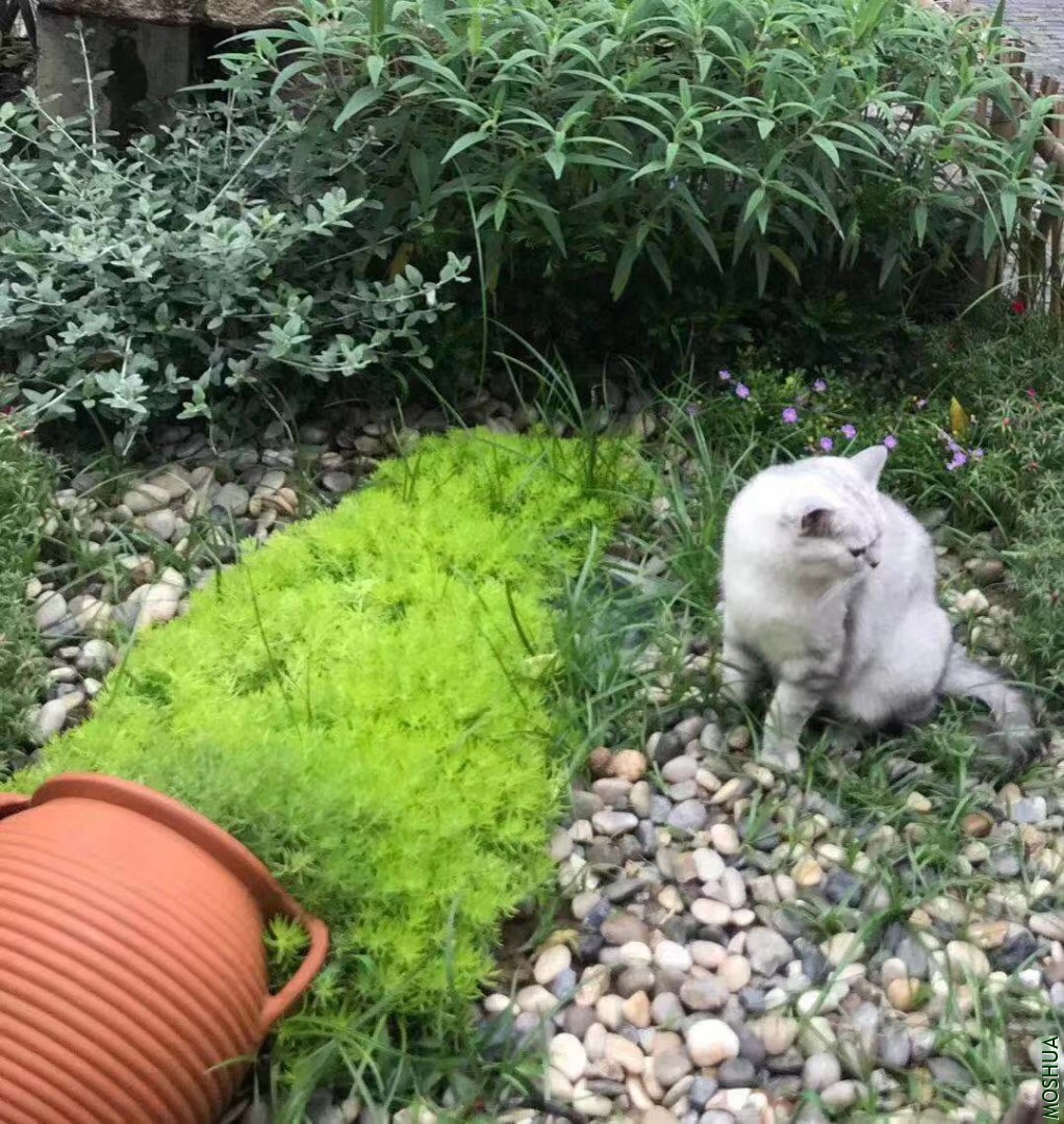 ΢��ͼƬ_20190712102822.jpg