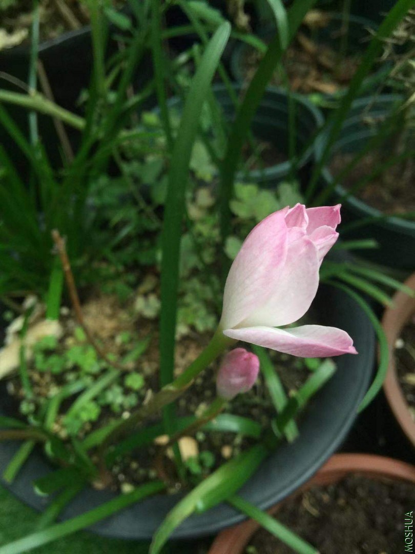 ΢��ͼƬ_20190712102829.jpg