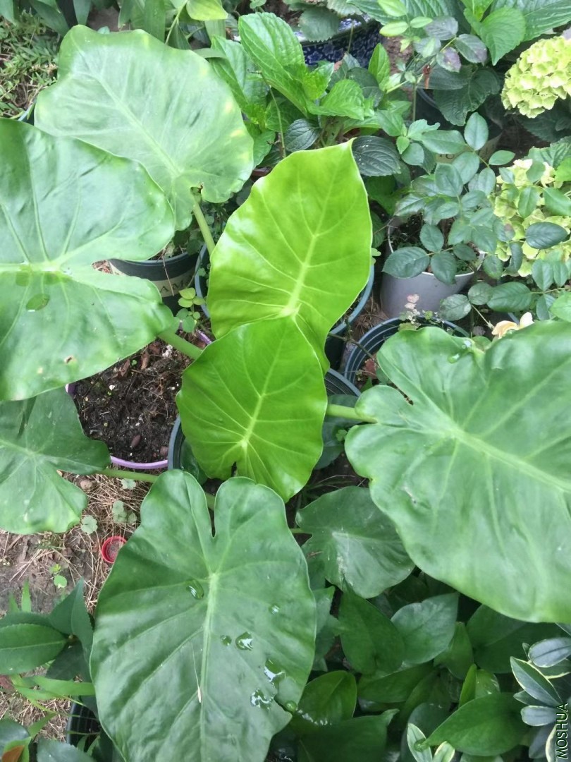 ΢��ͼƬ_20190712102848.jpg