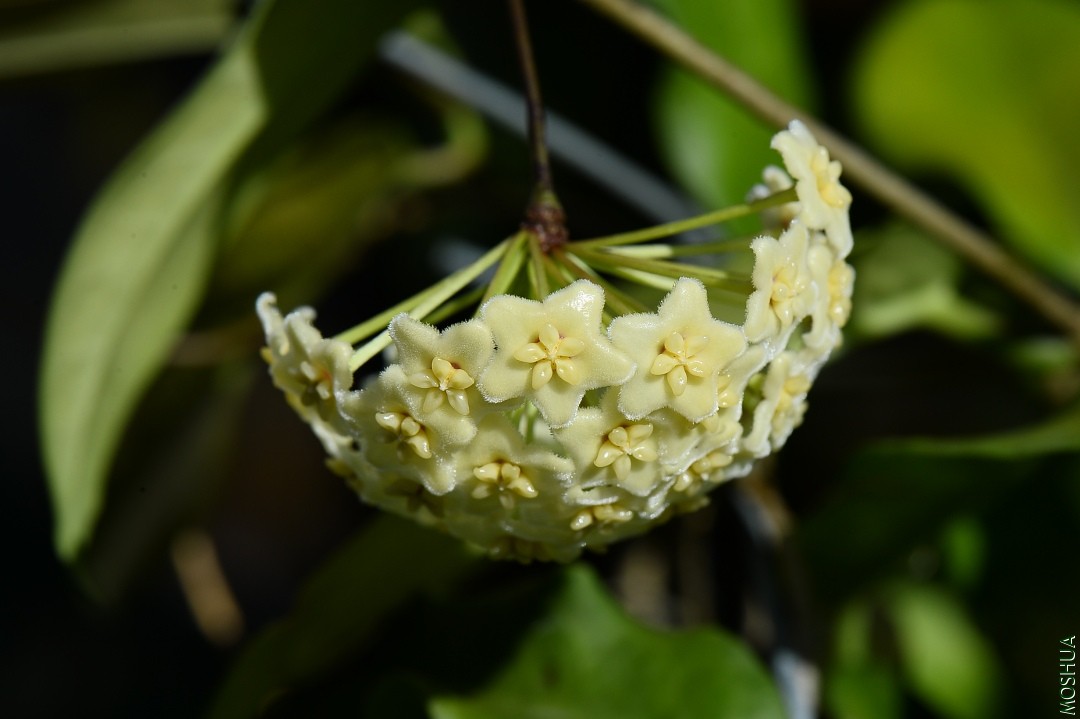 DSC_5478.JPG