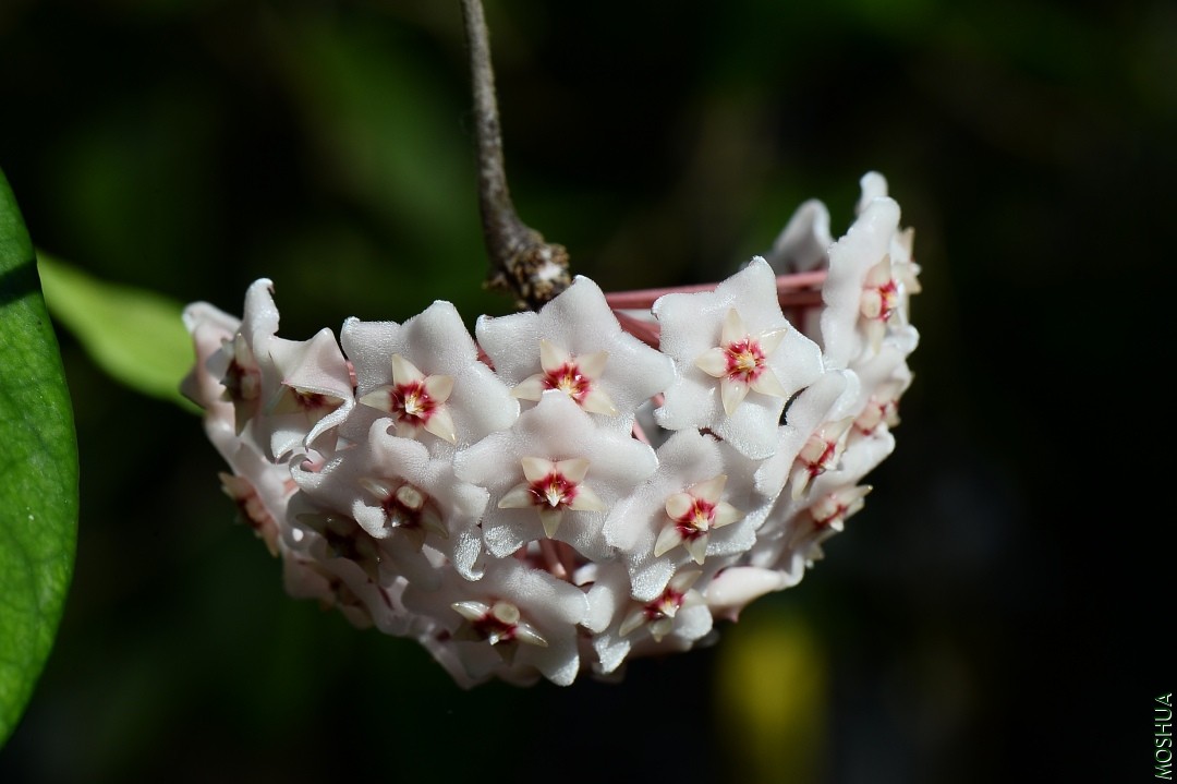 DSC_5494.JPG