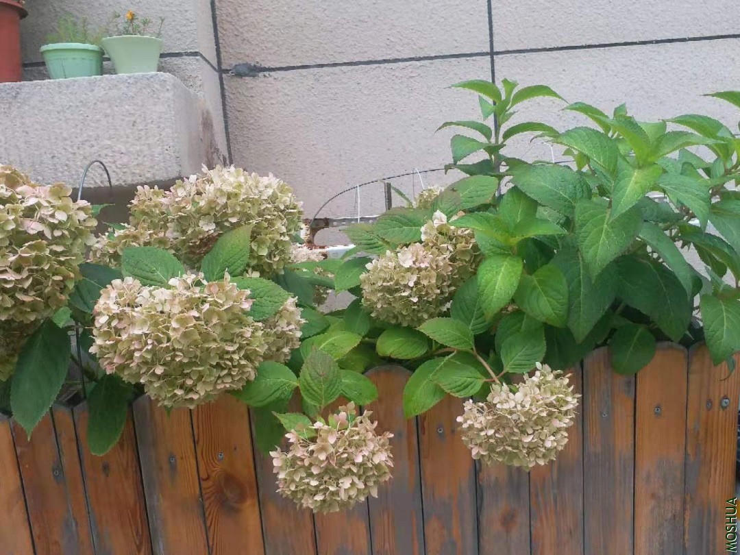 ΢��ͼƬ_20190713170916.jpg