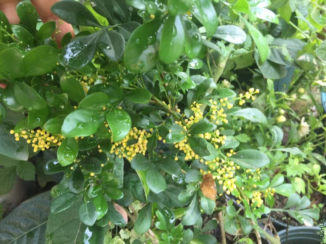 ΢��ͼƬ_20190715085811.jpg