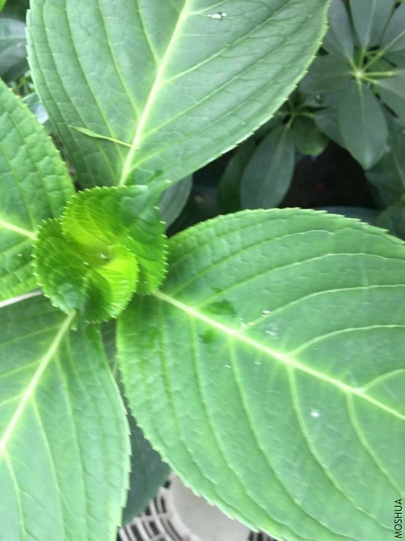 ΢��ͼƬ_20190715085807.jpg