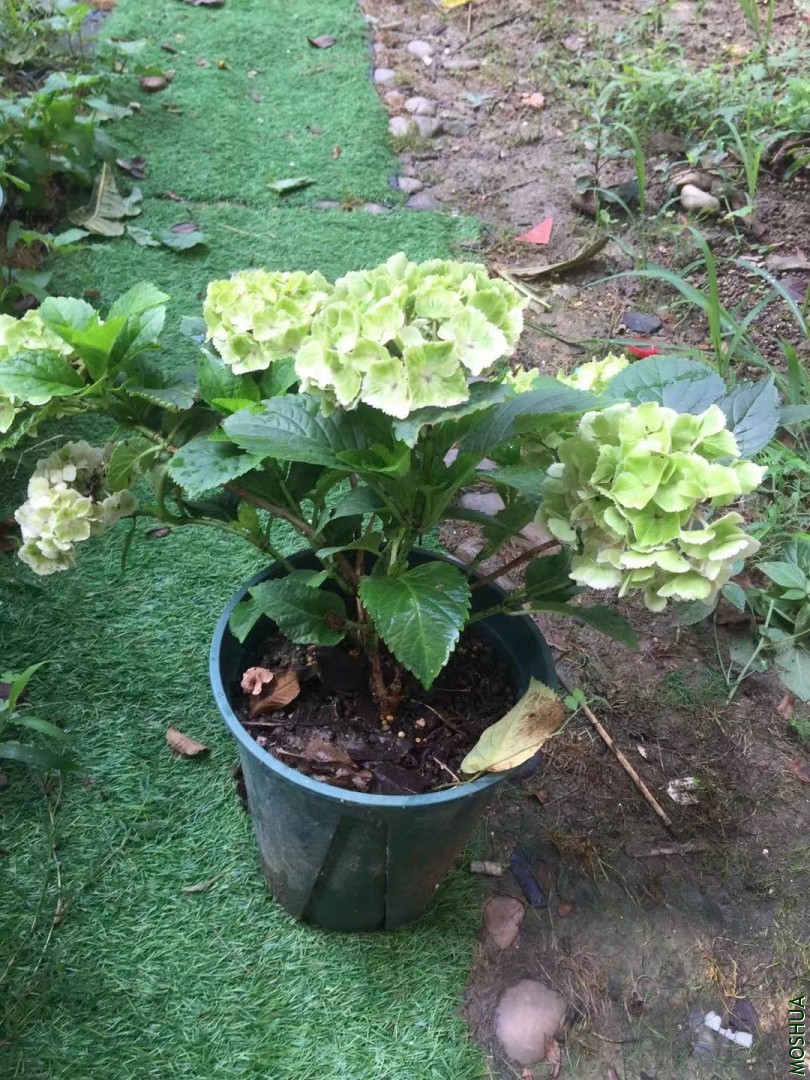 ΢��ͼƬ_20190715085803.jpg