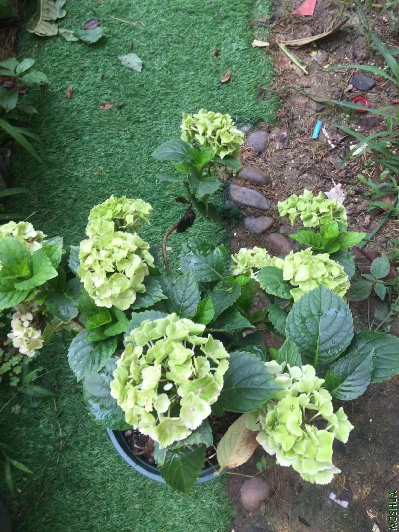 ΢��ͼƬ_20190715085800.jpg