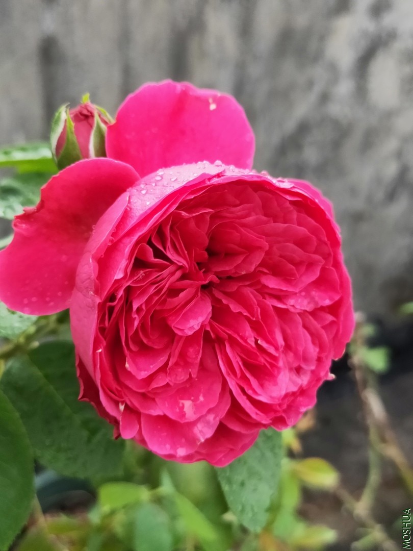 IMG20190702182536.jpg