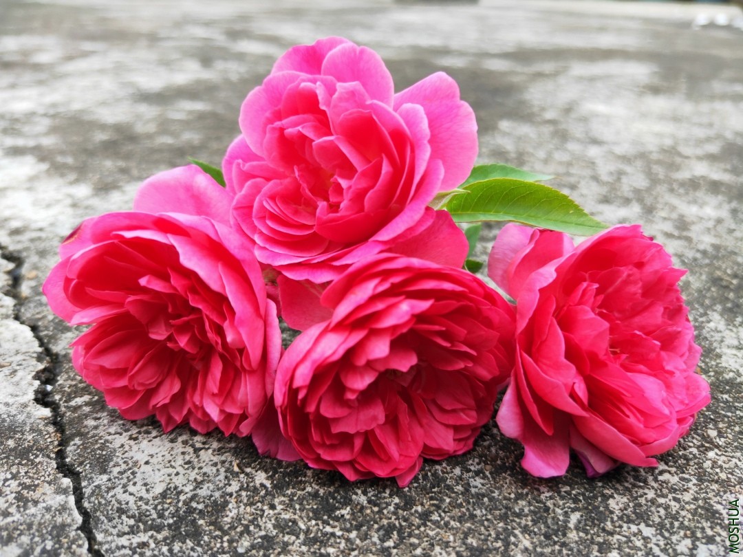 IMG20190630095038.jpg