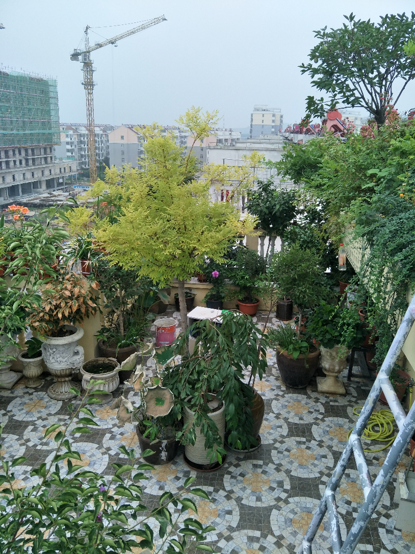 IMG20190717073746.jpg