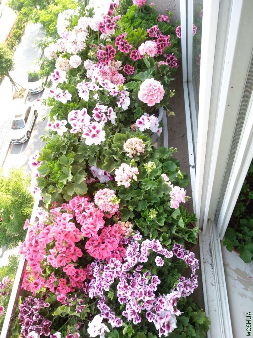 ΢��ͼƬ_2019062113465217.jpg