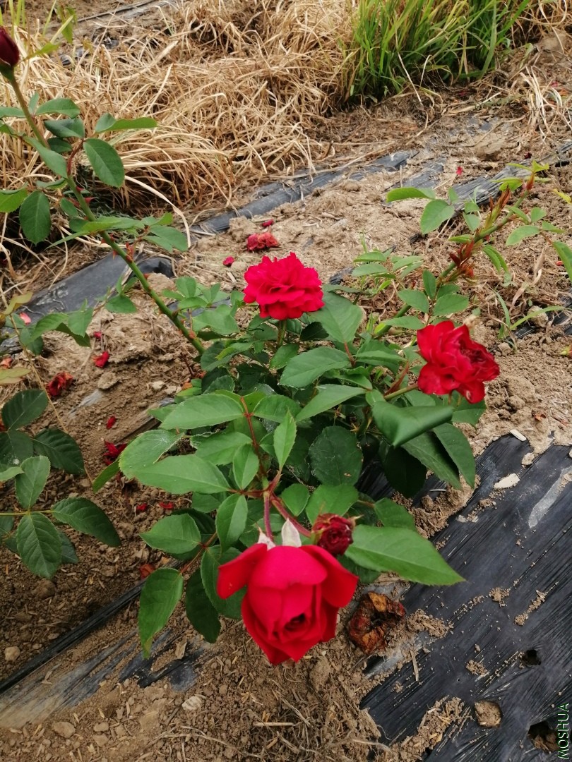 8���´�ķ��������