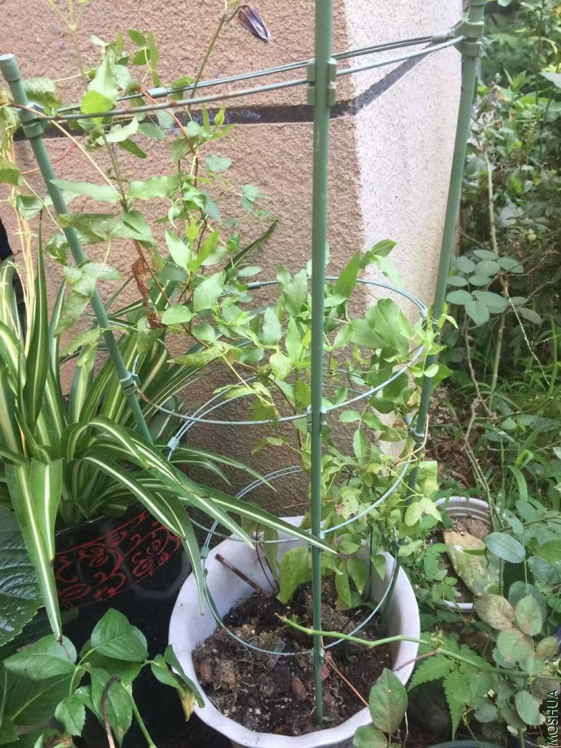 ΢��ͼƬ_20190724123346.jpg