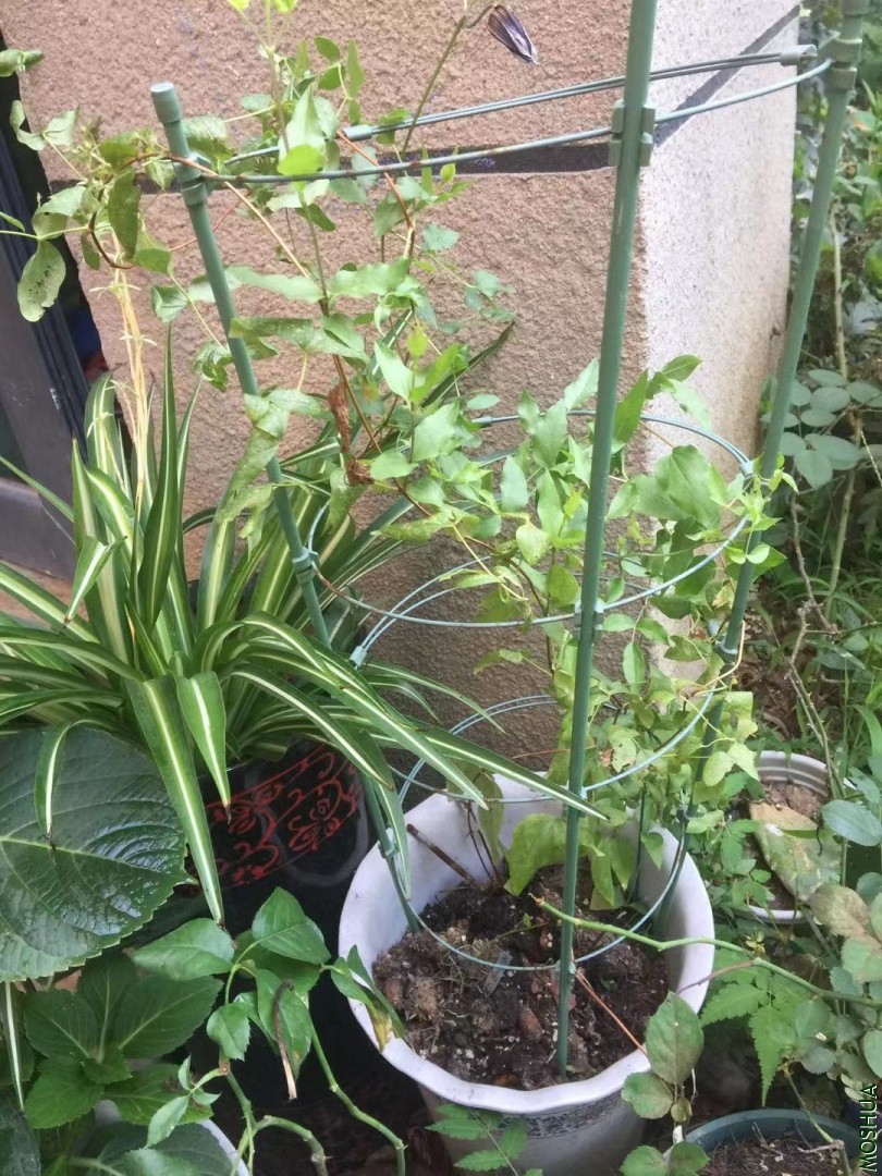 ΢��ͼƬ_20190724123400.jpg