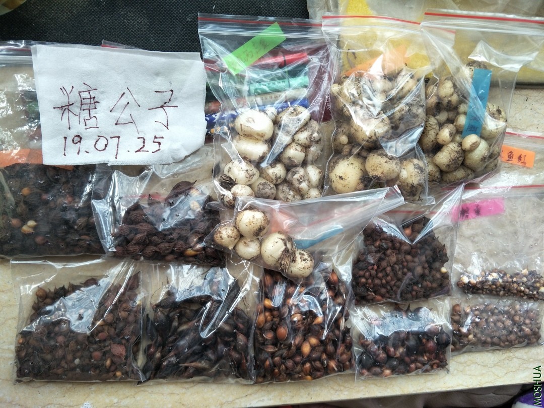 IMG20190725081314.jpg