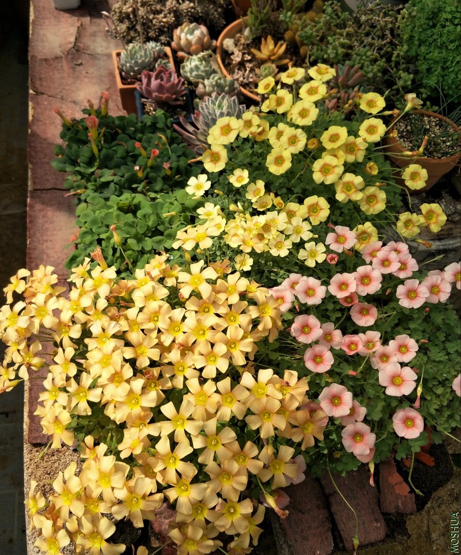 IMG20190318132817.jpg