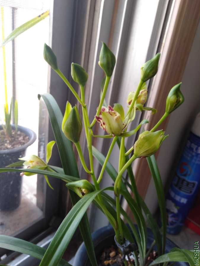 IMG20190728093026.jpg