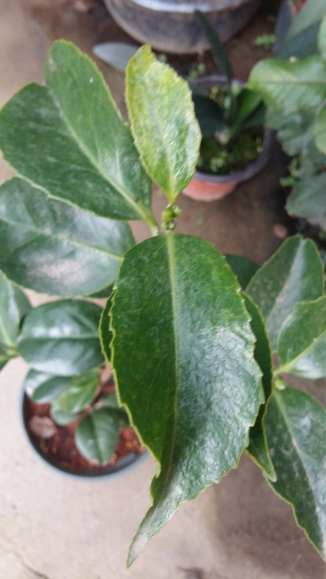 20190703_183506.jpg