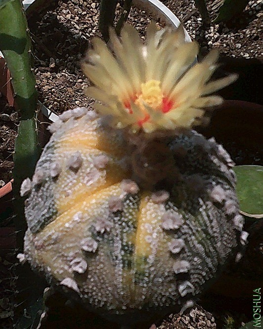 DSCF0007 (5)_����.jpg
