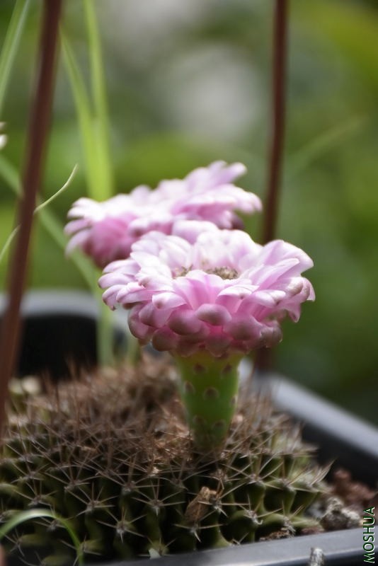 _DSC00120012.JPG