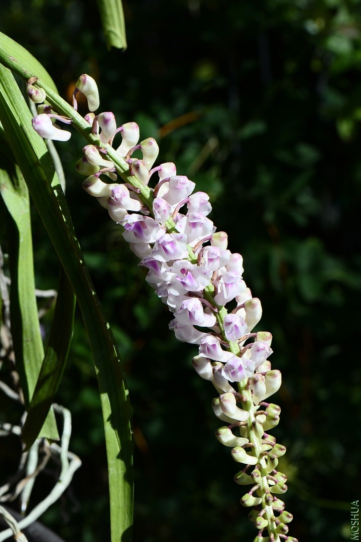 DSC_6940.JPG