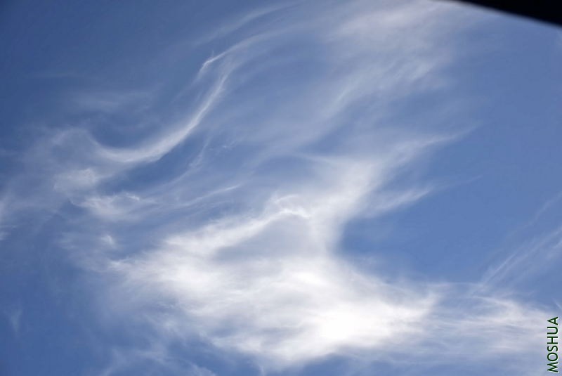 _DSC00110011.JPG