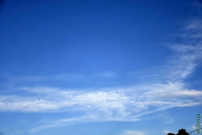 _DSC00180018.JPG