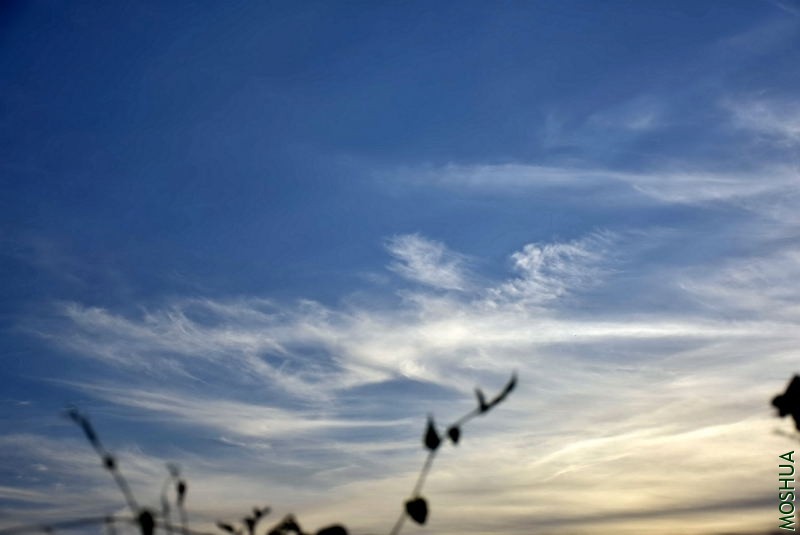 _DSC00170017.JPG