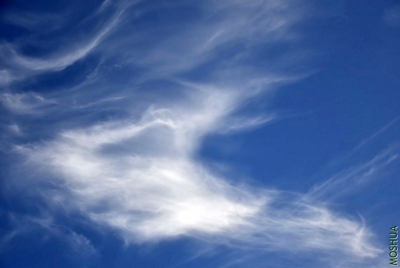 _DSC00130013.JPG