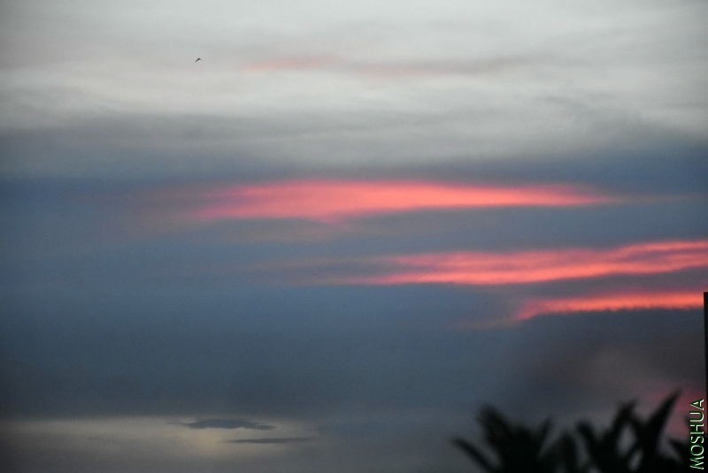 _DSC00260026.JPG