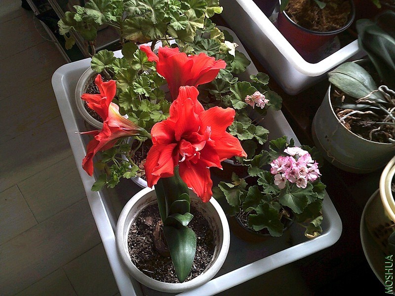 DSCF0004 (5)_����.jpg