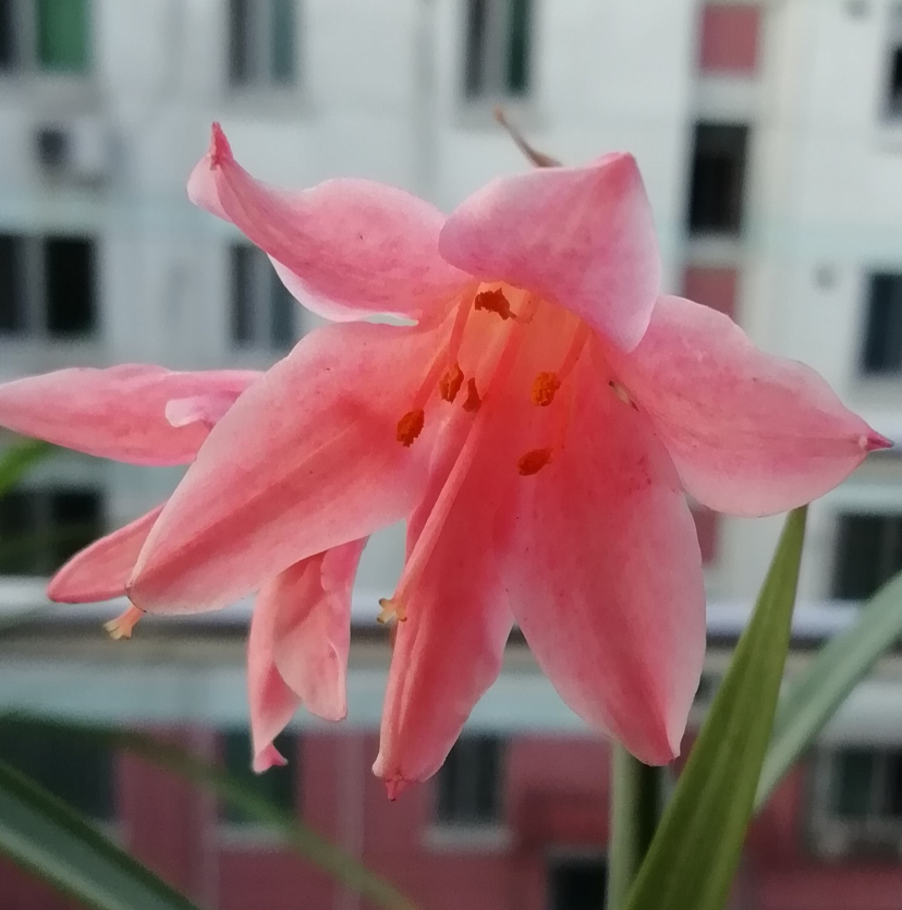 IMG_20181217_104124.jpg