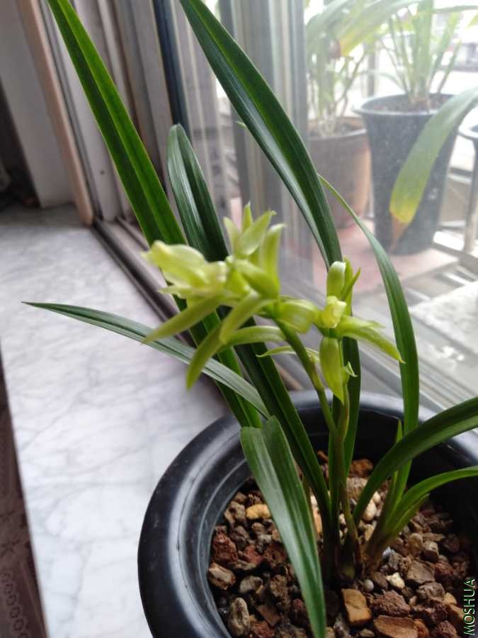 IMG20190807150718.jpg