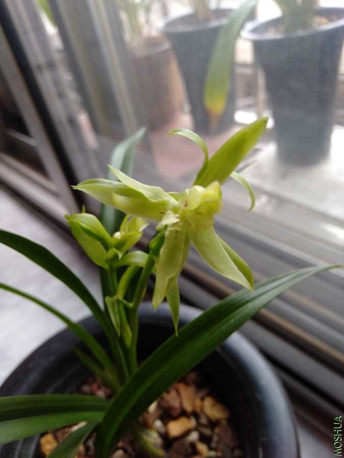 IMG20190807150725.jpg