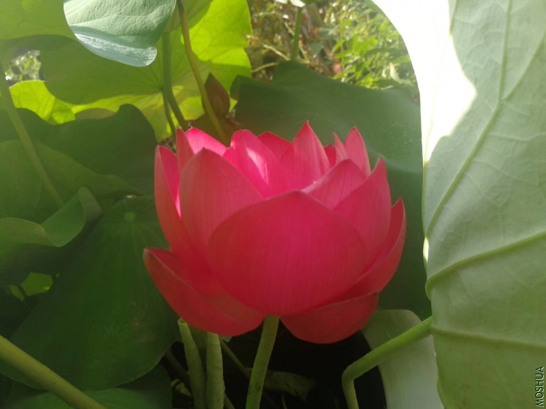 ����