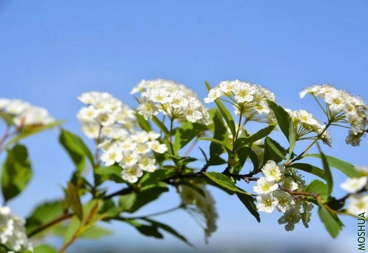 ΢�Ž�ͼ_20190720123253.jpg