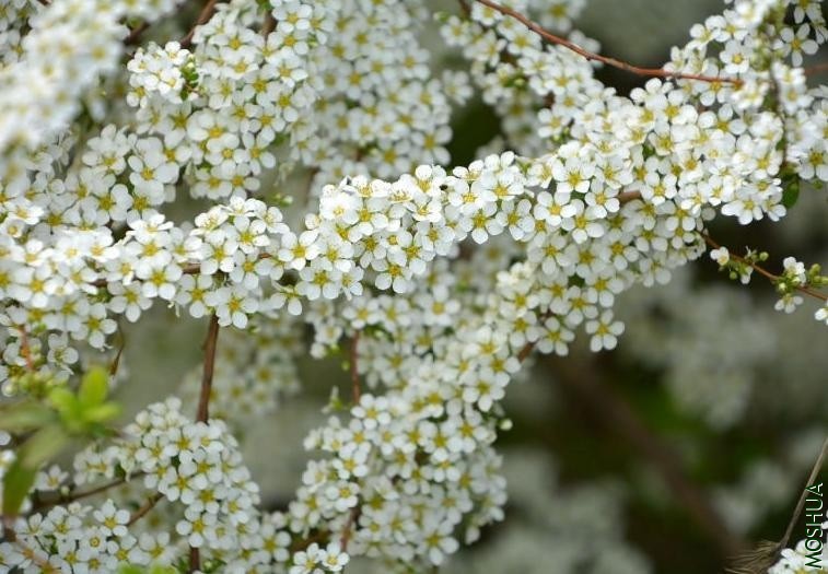 ΢�Ž�ͼ_20190720122913.jpg