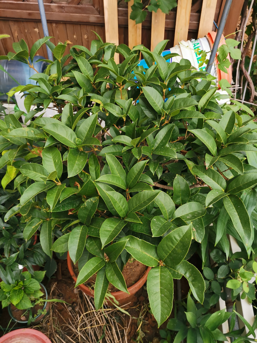 IMG_20190805_102644.jpg