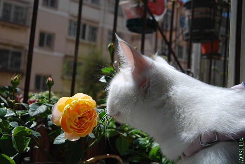 DSC_0146_����.jpg