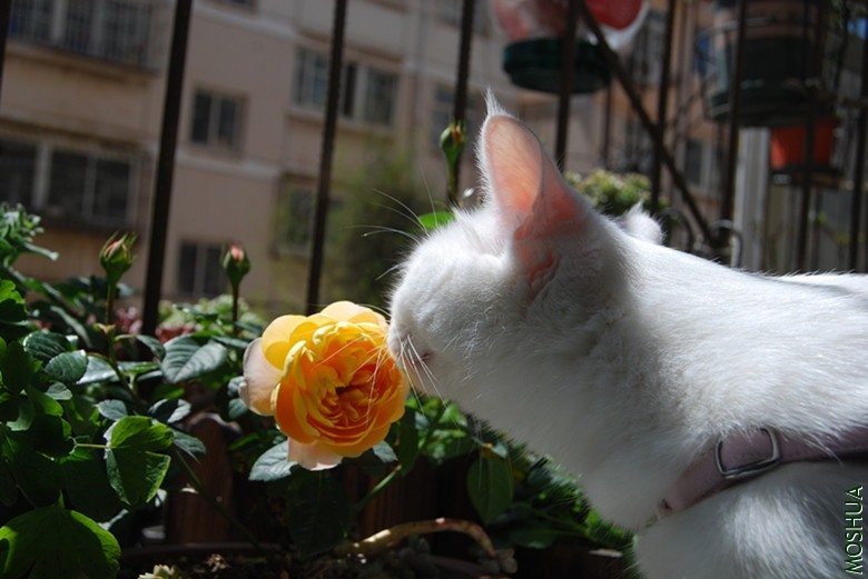 DSC_0147_����.jpg
