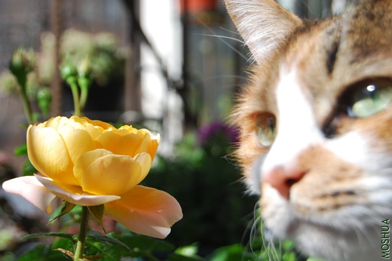 DSC_0048_����.jpg