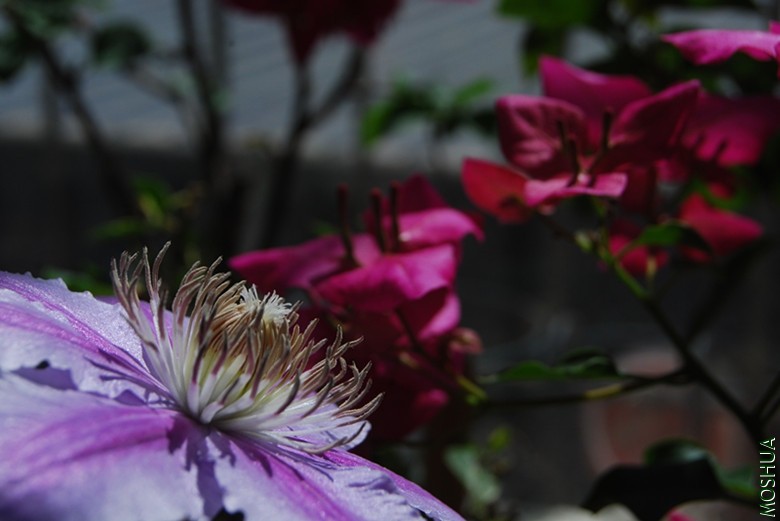DSC_0182_����.jpg