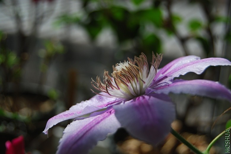 DSC_0089_����.jpg