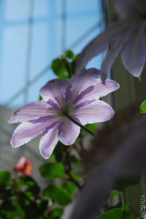 DSC_0088_����.jpg