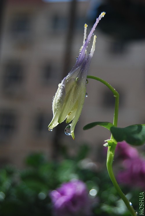 DSC_0062_����.jpg